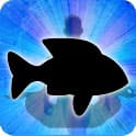 Fish Zodiac