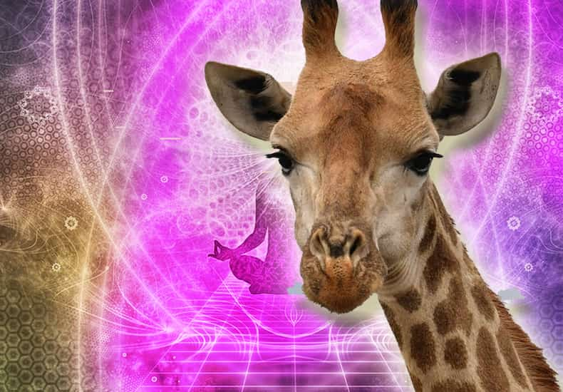 Giraffe Spirit Animal