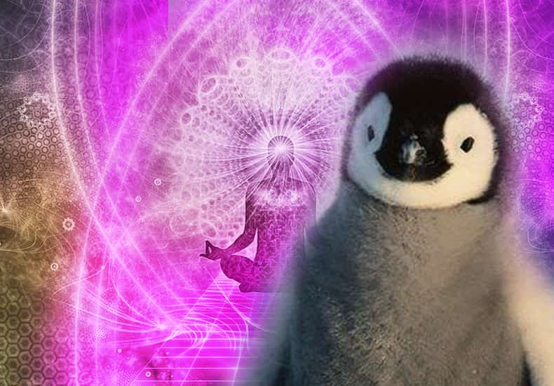 Penguin Spirit Animal